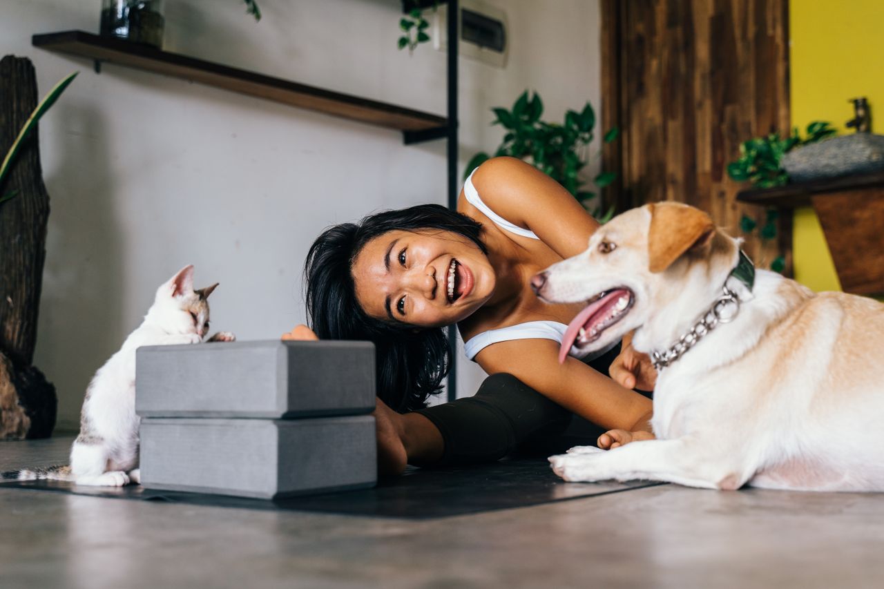 Contact Smiling woman practicing yoga indoors with her dog and cat, embracing a healthy lifestyle.